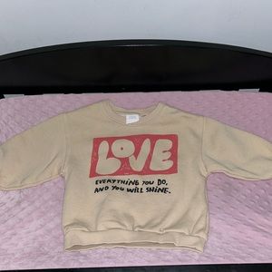 Zara Toddler Sweatshirt
